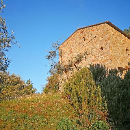 Cottage La Torre Del Pittore Bonassola Eksteriør bilde