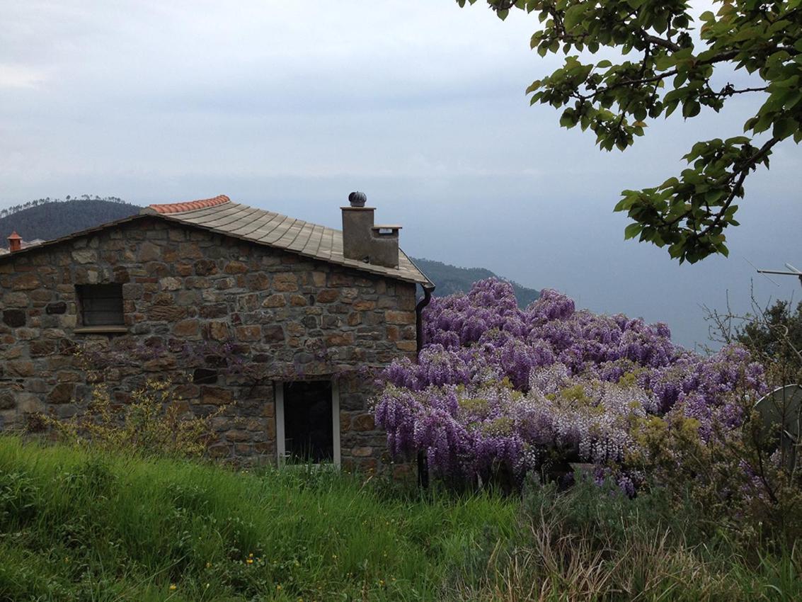 Cottage La Torre Del Pittore Bonassola Eksteriør bilde